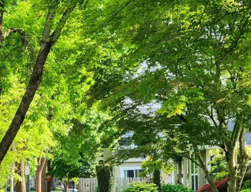How to Choose the Right Neighborhood in Central Florida