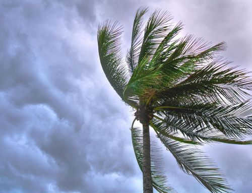 How to Prepare Your Florida Home for Hurricane Season
